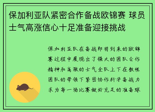 保加利亚队紧密合作备战欧锦赛 球员士气高涨信心十足准备迎接挑战