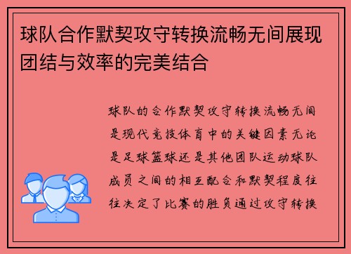 球队合作默契攻守转换流畅无间展现团结与效率的完美结合