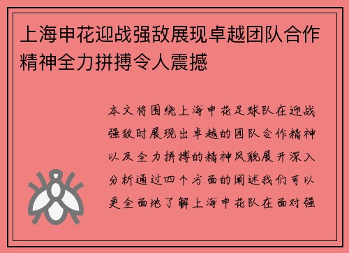 上海申花迎战强敌展现卓越团队合作精神全力拼搏令人震撼