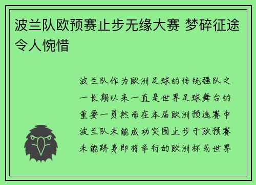 波兰队欧预赛止步无缘大赛 梦碎征途令人惋惜